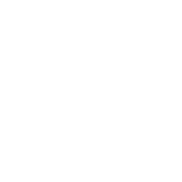 Analogue Apotik