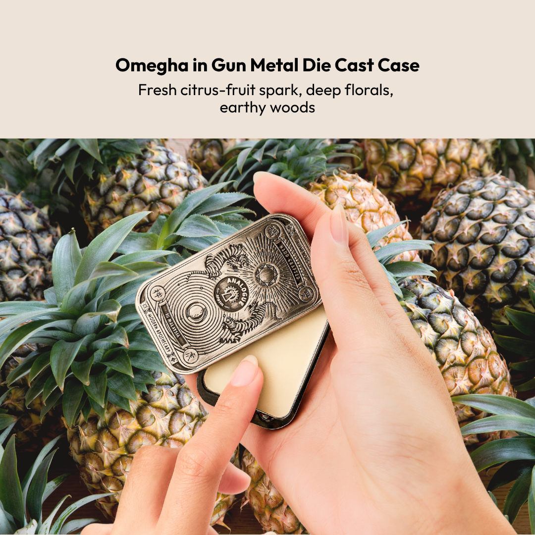 Solid Cologne Die Cast Case Gun Metal